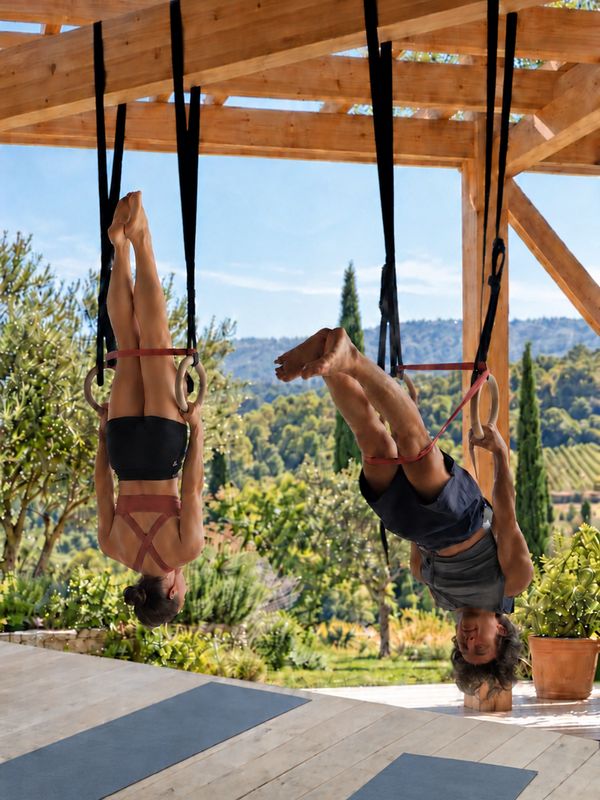 Two people training upside down on gymnastic rings in an open-air pavilion above wooded hills