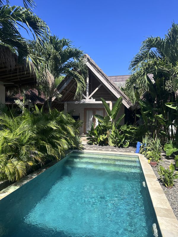 A pool in front of a villa with a pointed roof, framed by palm trees